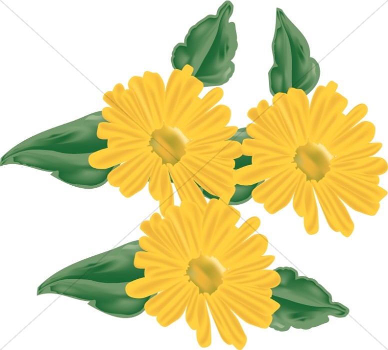 776x699 Church Bouquet Clipart, Church Flower Spray Images