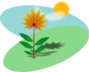 300x243 Plant And Sun Clipart