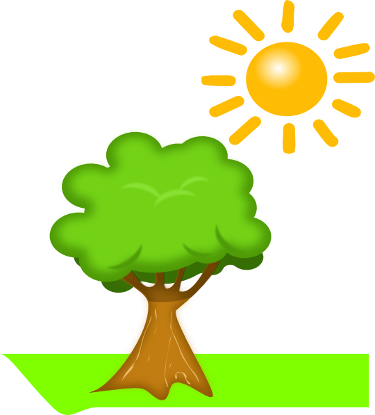 540x597 Tree Under Sunlight Clip Art