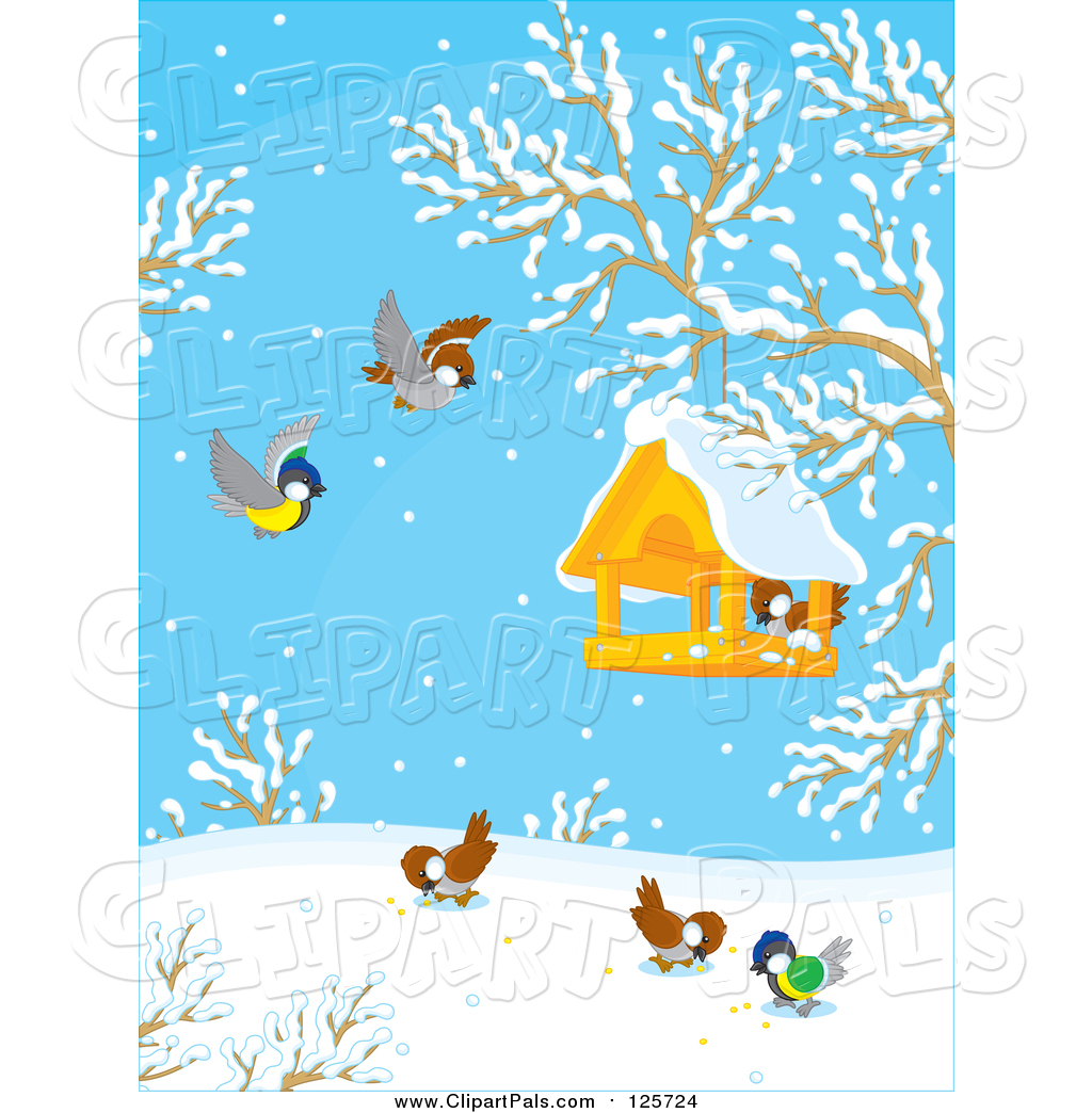 1024x1044 Royalty Free Bird Stock Friend Designs