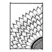 180x180 Sunrise Drawing By Billinda Brandli Devillez