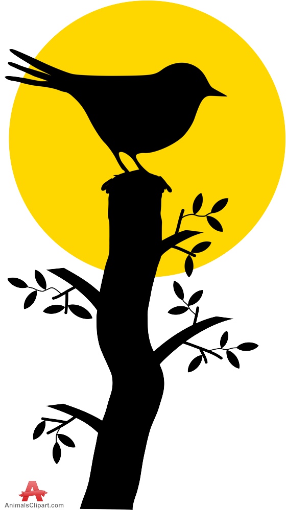 560x999 Bird Silhouette On Branch