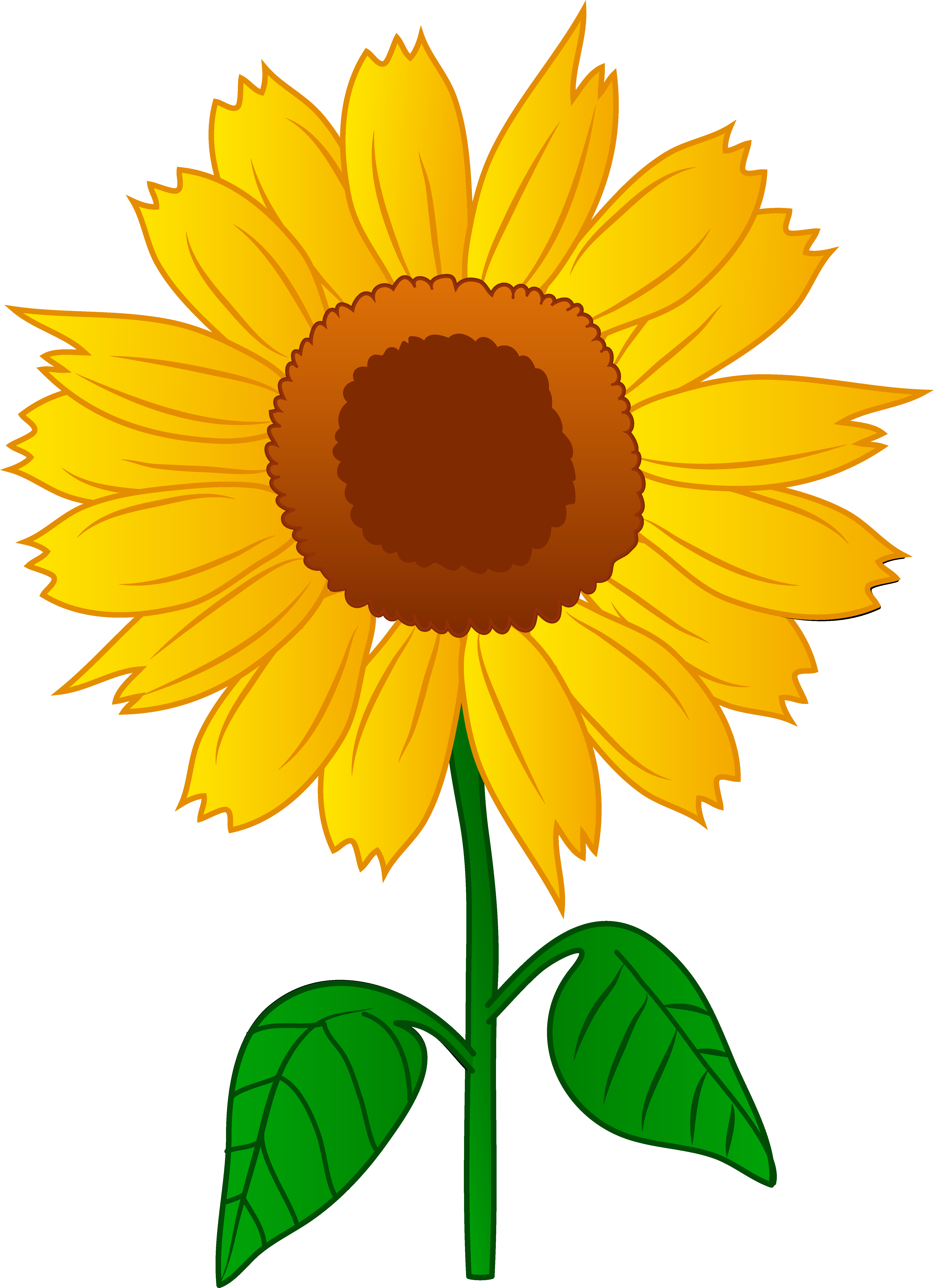 4909x6763 Sunshine Clipart Flower
