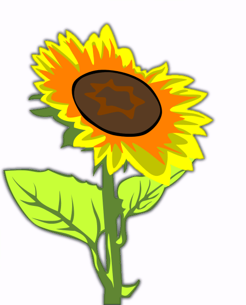 484x600 Sunflower Sunshine Clip Art Cliparts