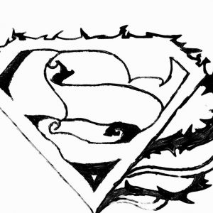 300x300 Adult Superman Symbol Batman Superman Symbol Combined. Superman