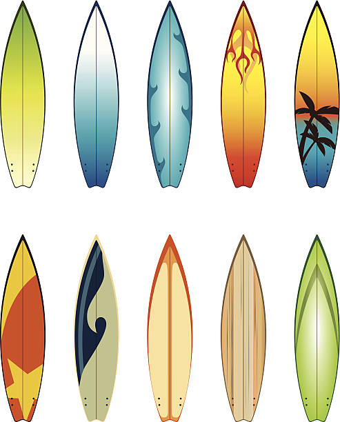 493x612 Surfboard Clipart Vector