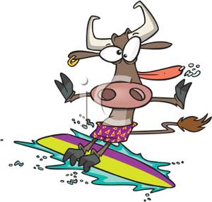300x286 Art Image A Goofy Cow Surfing