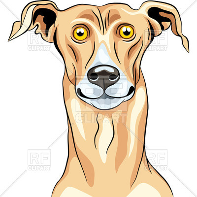 400x400 Portrait Of Surprised Greyhound Royalty Free Vector Clip Art Image