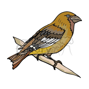 300x300 Royalty Free Barn Swallow 130208 Vector Clip Art Image