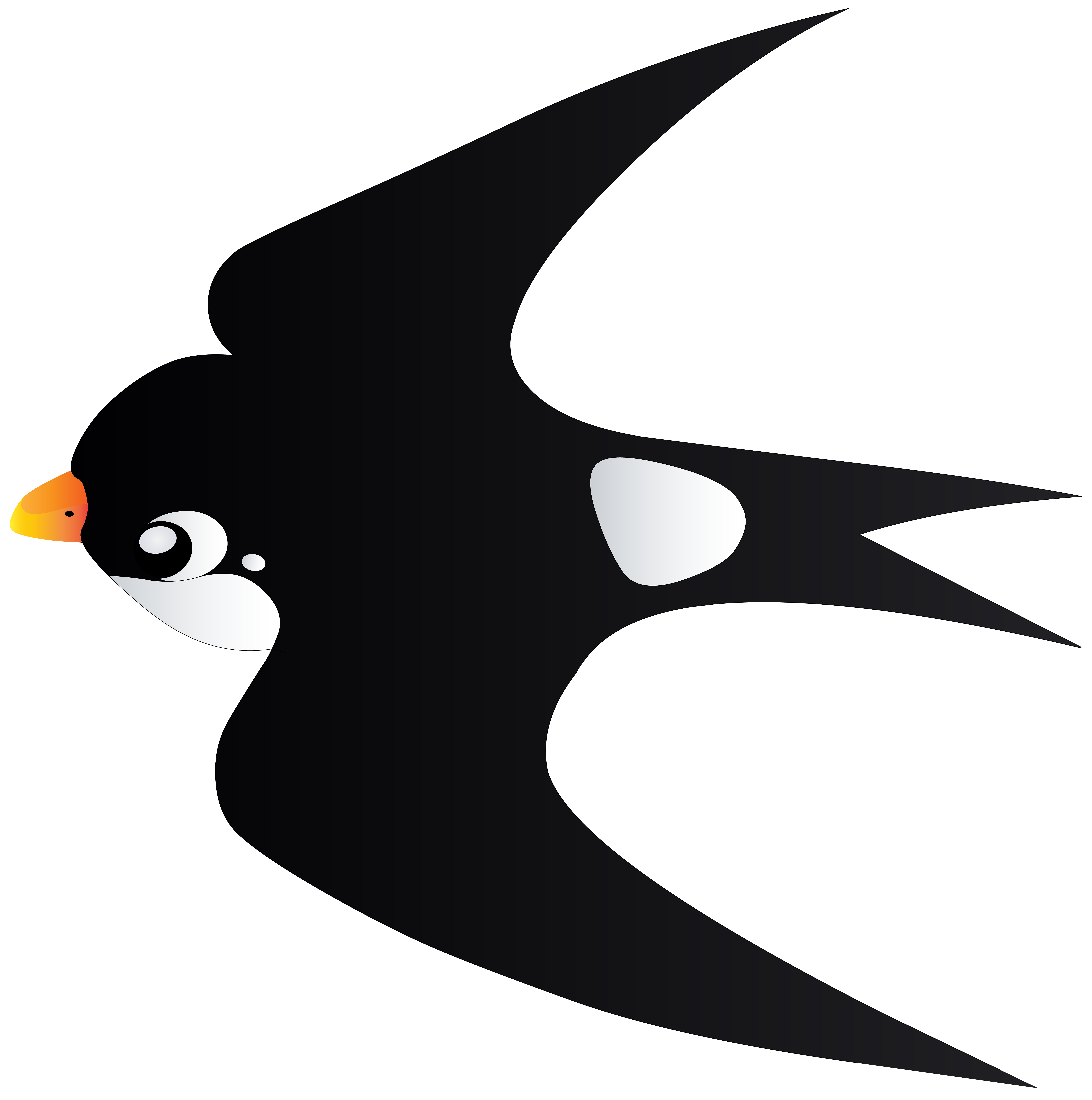7943x8000 Swallow Bird Cartoon Transparent Png Imageu200b Gallery Yopriceville
