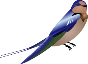 300x219 Swallow Clip Art Download