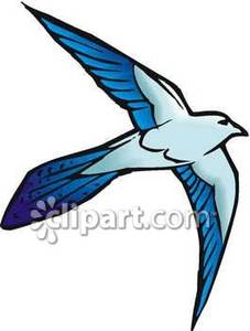 227x300 Swallow Clipart Blue Bird