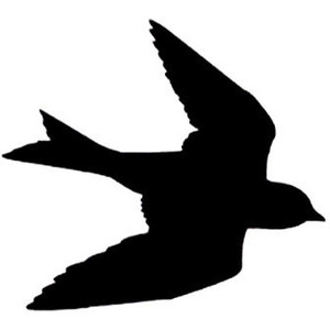 300x300 Swallow Clipart Mockingbird