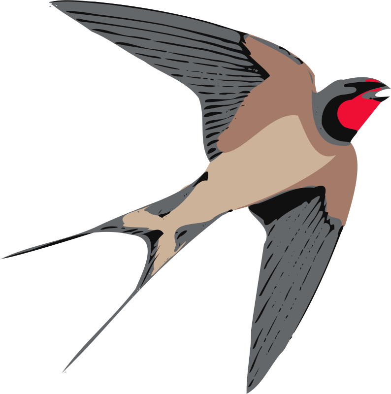 794x800 This Swallow Clip Art Is Clipart Panda