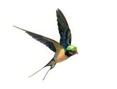 236x180 Vintage Clip Art