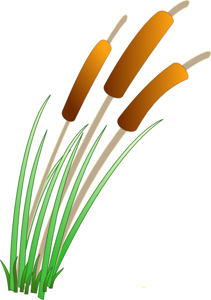 420x598 Reeds Clip Art