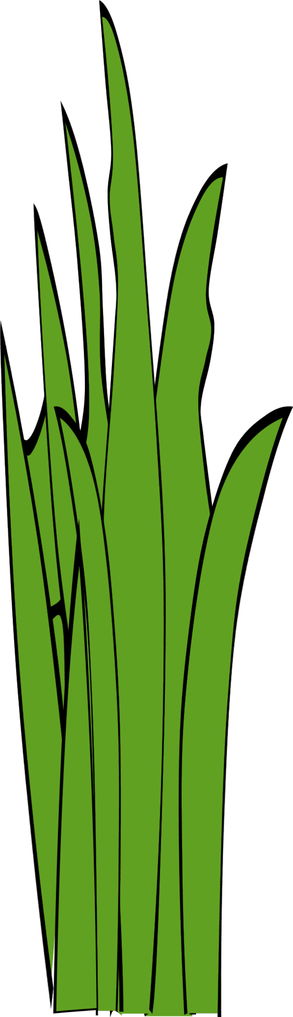 600x2079 Swamp Clipart Blades Grass
