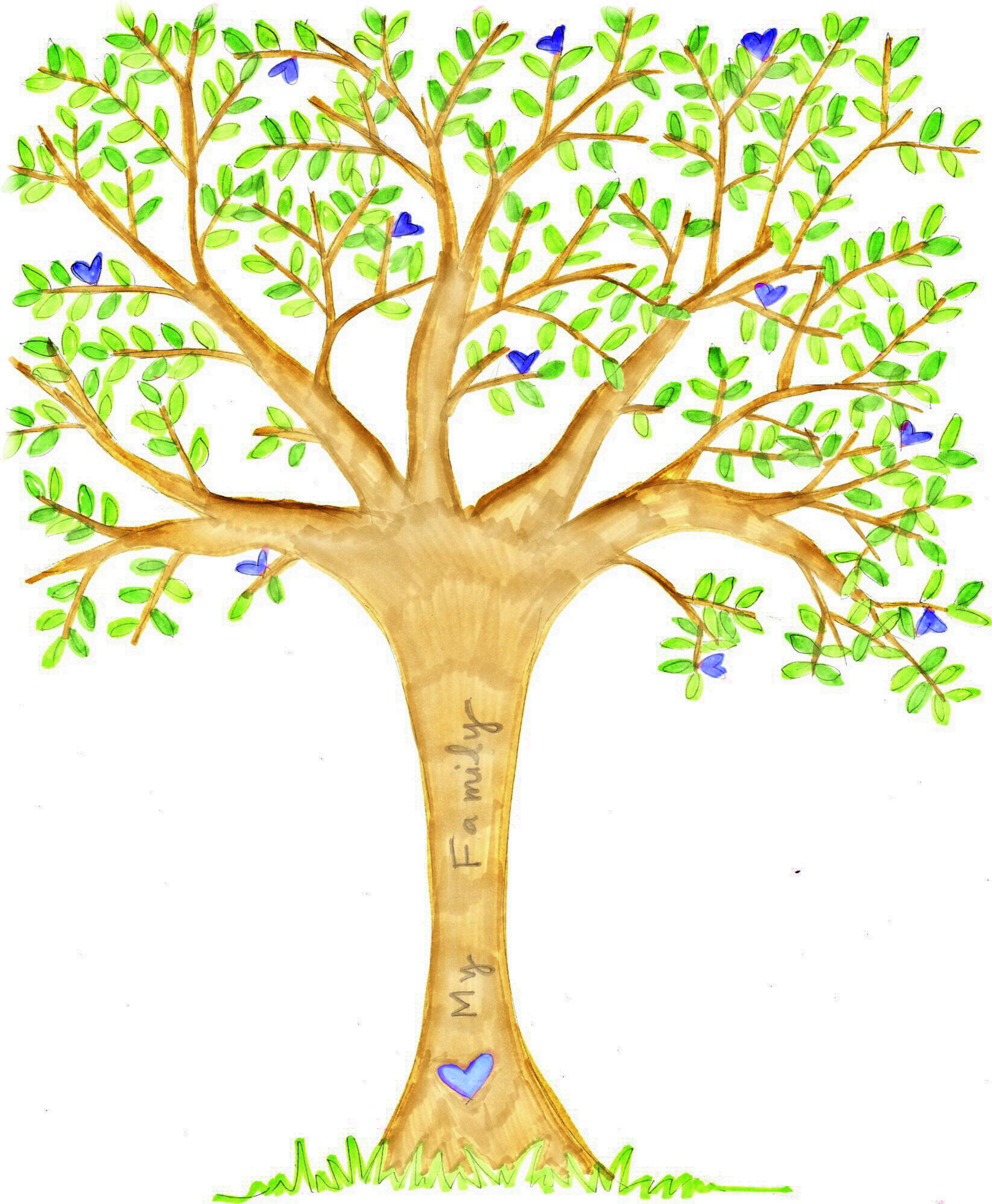2407x2924 Blank Family Tree Clipart