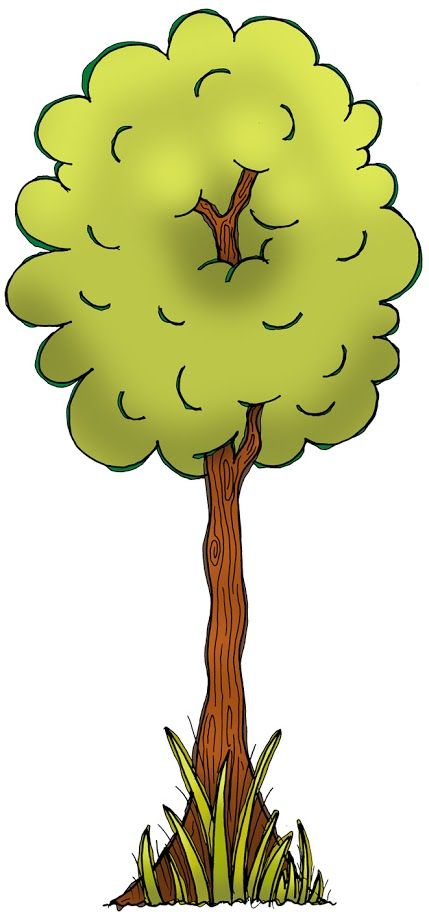 429x912 421 Best Trees, Leaves, Bushes Images Draw, Art