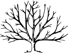 236x184 Tree Silhouette Clipart