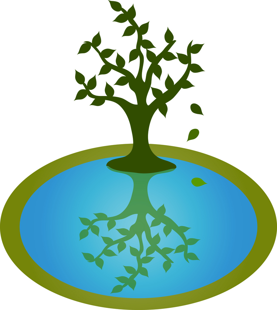 913x1024 Trees Water Clipart Jpg