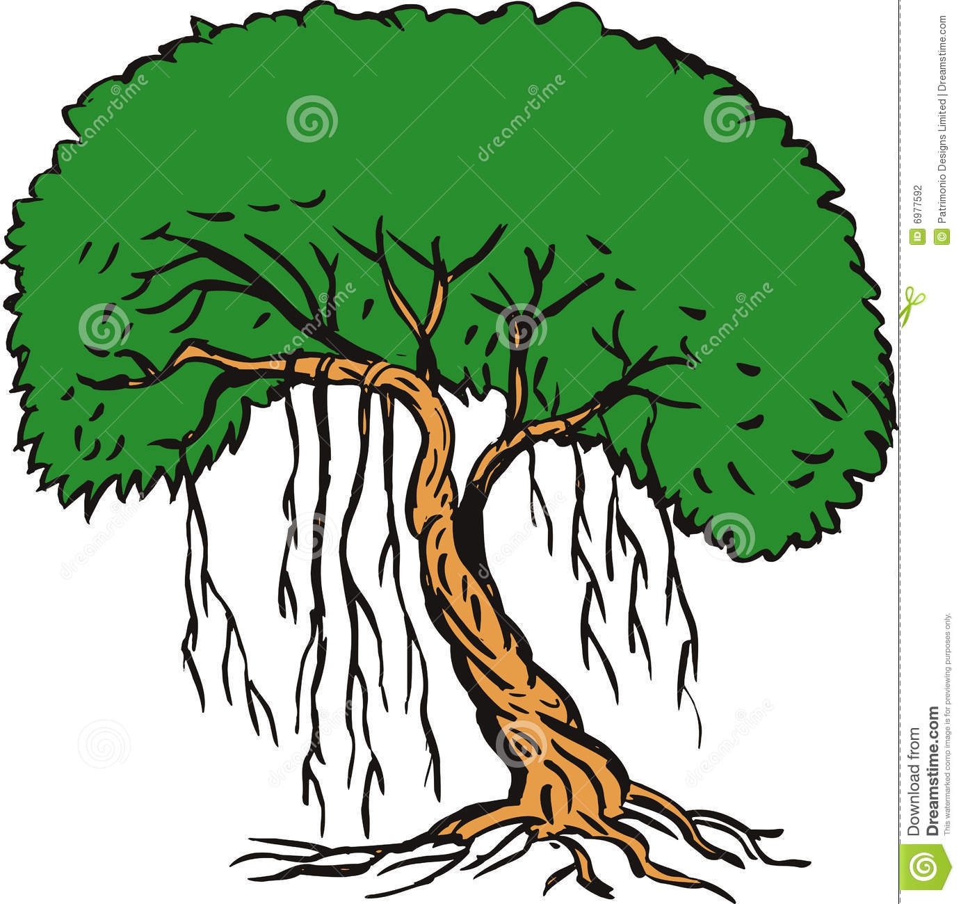 1382x1300 Clipart Rainforest Trees