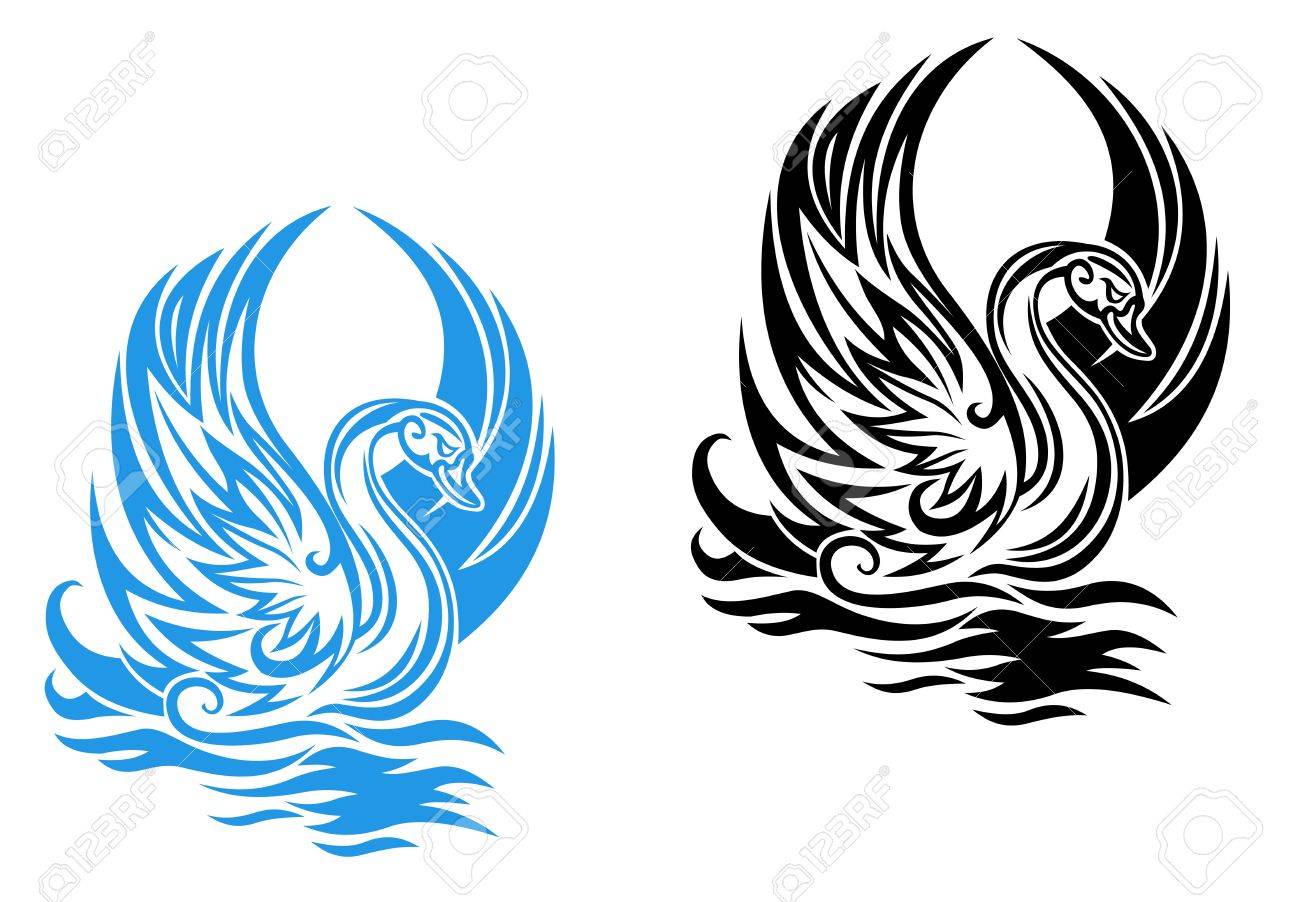 1300x902 Black Swan Clipart Beautiful Swan