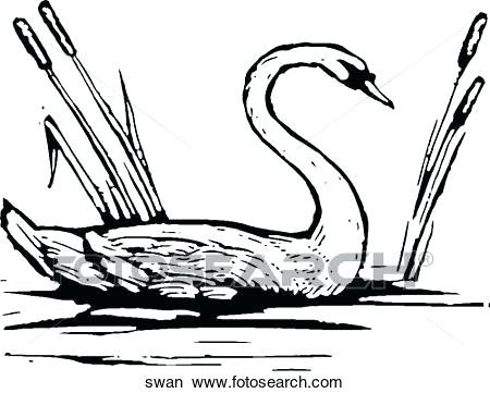 450x361 Swan Clipart Printable Black And White Art Black And White Swan