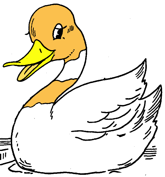 680x727 White Duck And Black Clipart