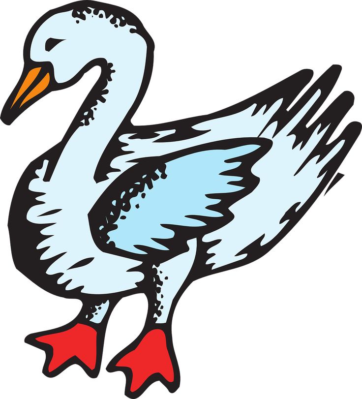 736x811 52 Best Blue Images Pictures, Blue And Live