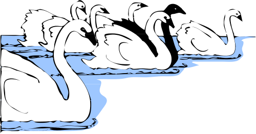 500x262 Swans In Water Clip Art Download