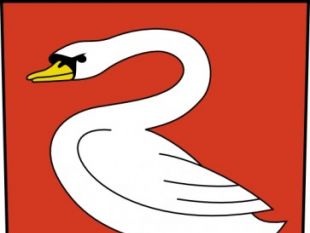 310x233 Swan Clip Art Graphics Free Vectors Ui Download
