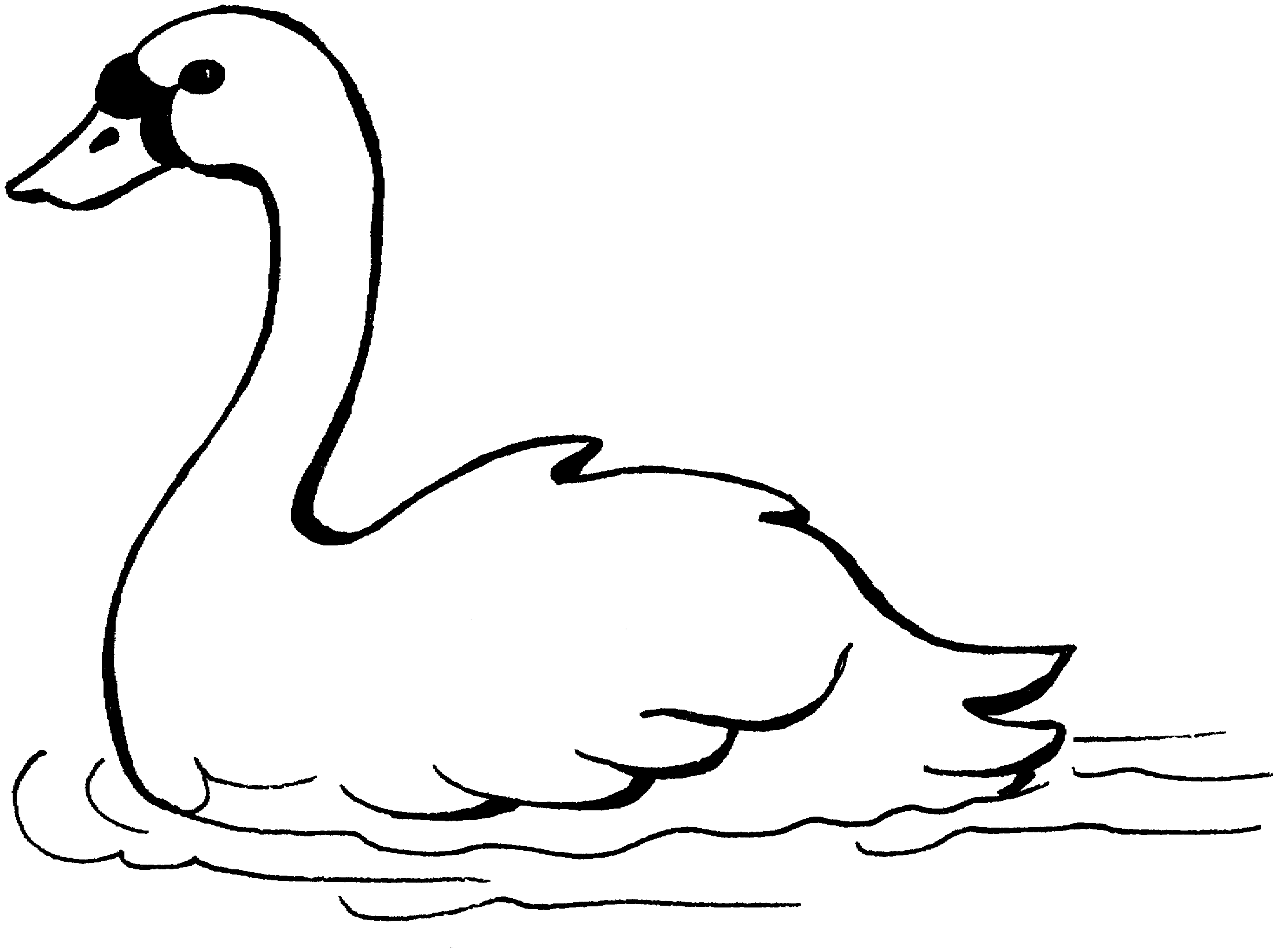 2208x1646 Clip Art Black And White Swan Clipart