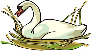 317x178 Free Swan Clipart 4