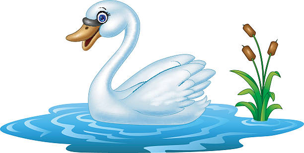 612x309 Beak Clipart Swan