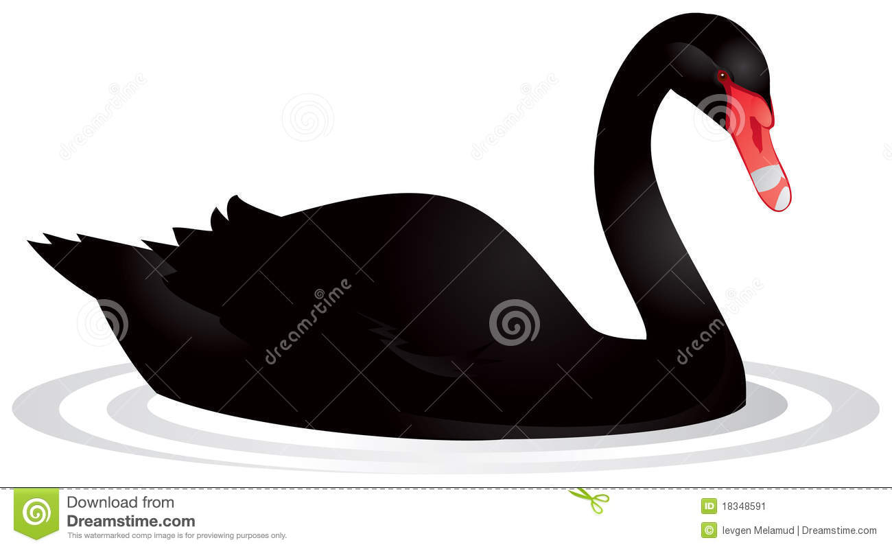 1300x800 Black Swan Clip Art