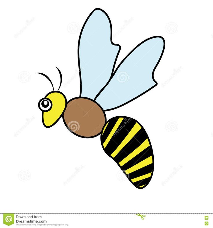 736x786 44 Best Bee Clip Art Images Pictures