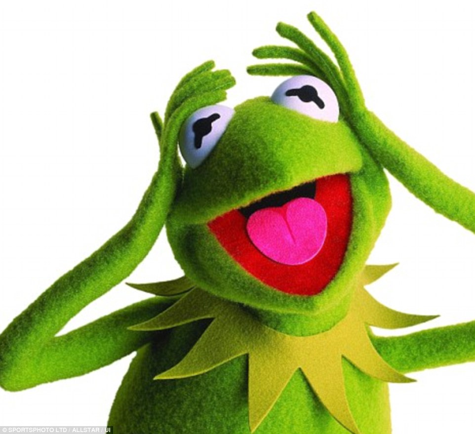 962x878 Gecko From Madagascar Is A Dead Ringer For Muppets' Kermit