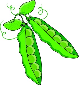 278x300 Peas Clipart Graphics