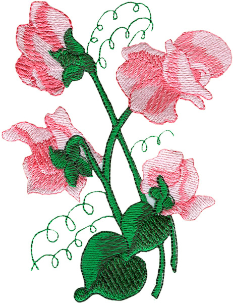 462x600 Pulse Clipart Sweet Pea