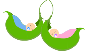 299x180 Two Peas In A Pod Clip Art