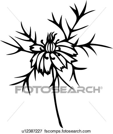 397x470 Clip Art Of , Flower, Love In A Mist, Varieties, U12387227
