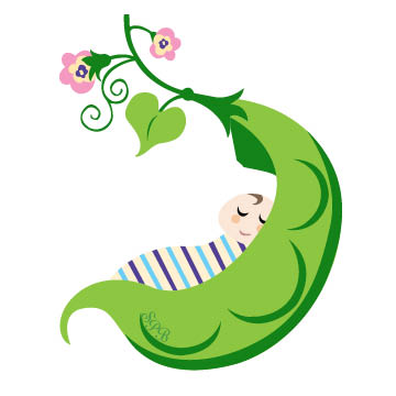 360x360 Sweet Pea Families Life Beyond The Birth Day