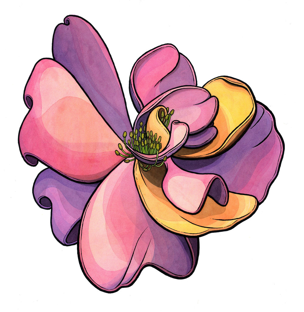 1000x1027 Two More 22 X 24 Flowers Scott Teplin