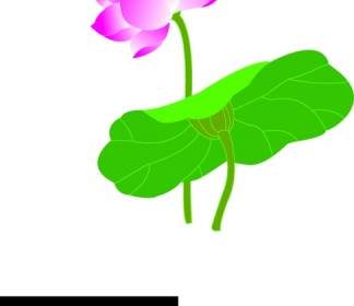 324x280 White Lotus Flower Clip Art Vector Clip Art Free Vector Free Download