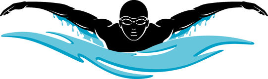 541x160 Swimming Women Swimmer Clipart
