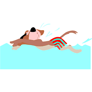 300x300 Dog Swimming Clipart, Cliparts Of Dog Swimming Free Download (Wmf