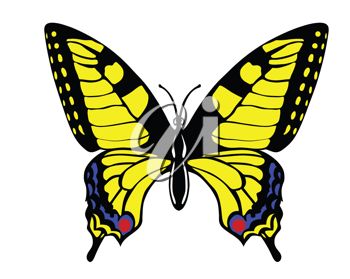 350x279 Picture Of Yellow Butterfly With Flynd Red Markings In