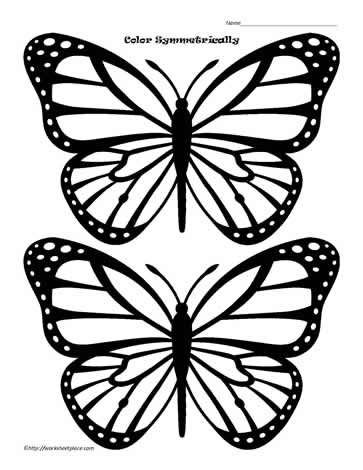 Swimming Butterfly Clipart | Free download on ClipArtMag
