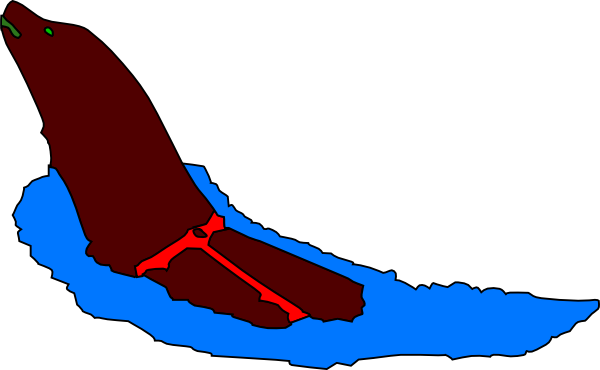 600x370 Seal Swimming In Water Clip Art Free Vector 4vector